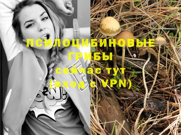 бошки Арсеньев